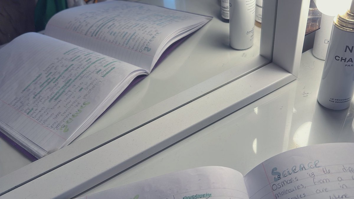 iamqueen89's tweet photo. Revising for my science assessment @TrinityAcademyL 🧬📚 https://t.co/4ZuOF6Dyg4
