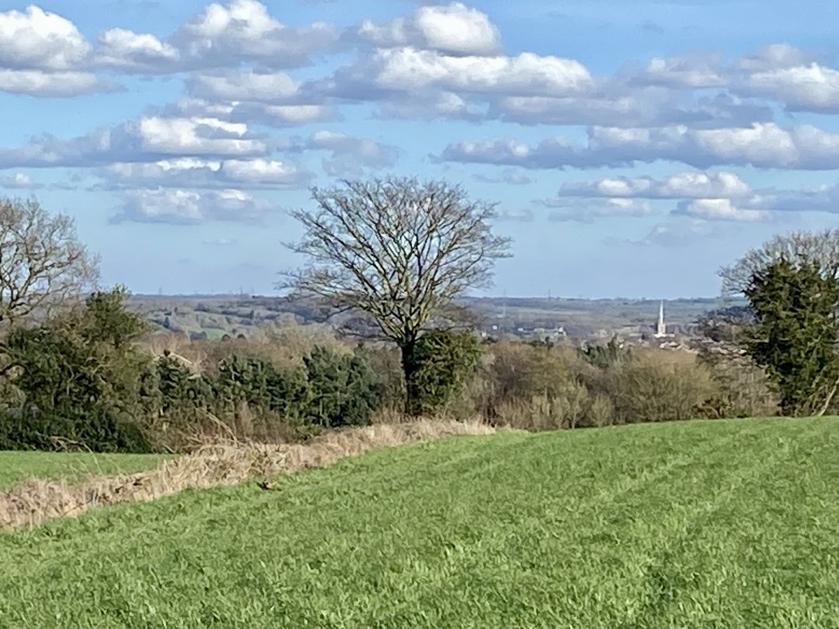 Louise 💙 tweet media