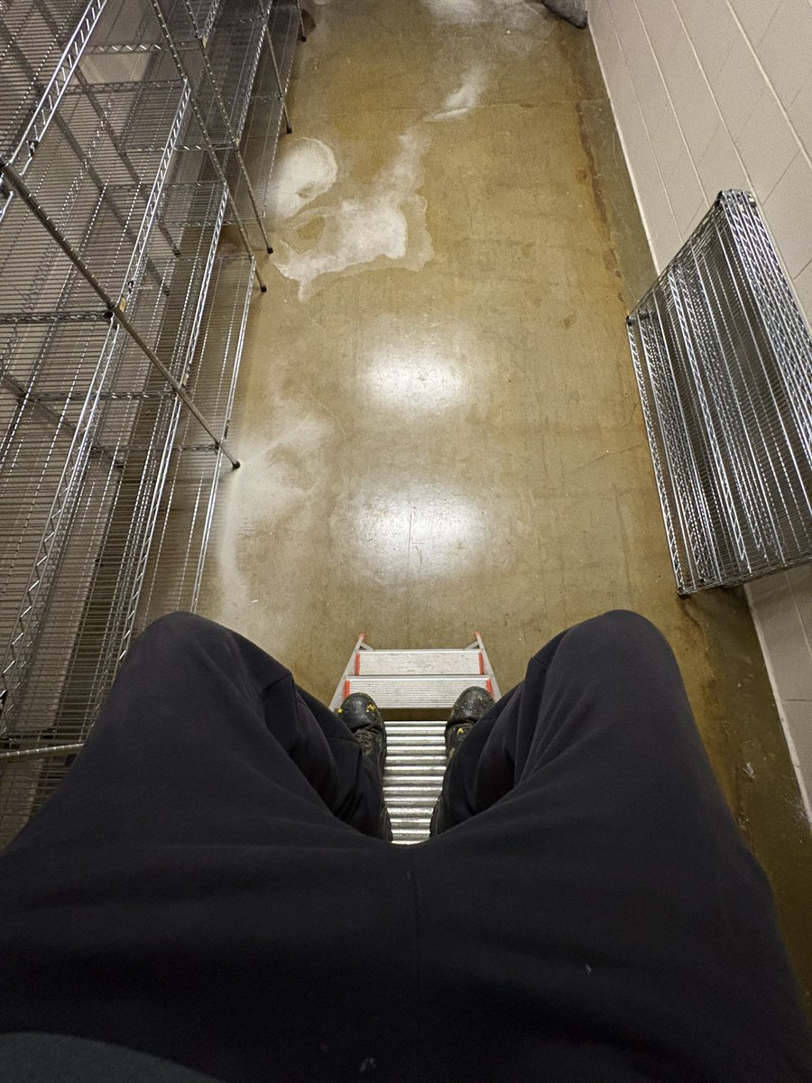 on the ladder scrolling on X

how’s yalls day fam ?