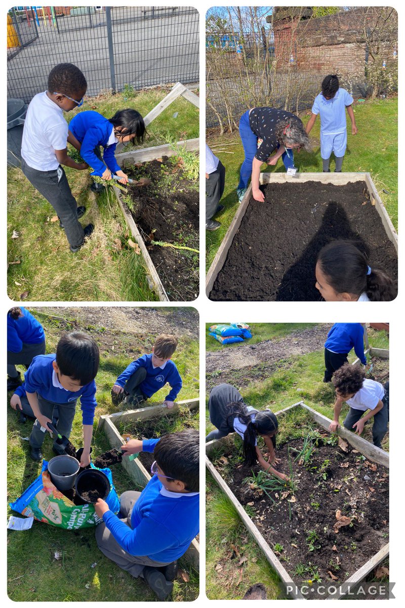 We started our gardening journey with Rachel. Stay tuned for what we grow! 🥒🌱🥕<a href="/StAnnesLiv/">St Anne's Liverpool</a>