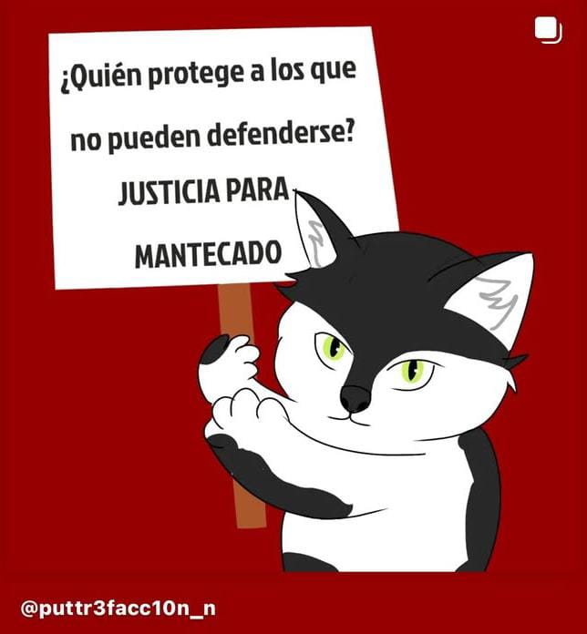 IPNsinMaltrato's tweet photo. ¡NO AL MALTRATO ANIMAL EN EL IPN!
Imagina ir a una de las "escuelas más prestigiosas del país", según profesores, y tener que presenciar actos tan lamentables como este. 
#IPN #justiciaParaMantecado
#NoAlMaltratoAnimal #cecyt10
#voca10 https://t.co/1DEUl6Fvop