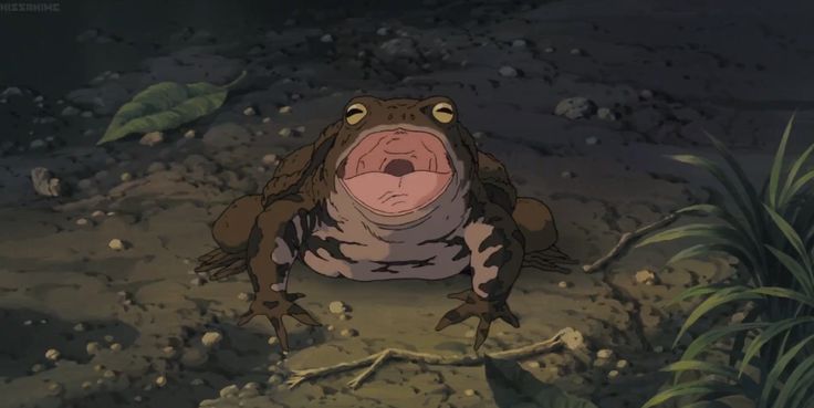 Studio Ghibli frog