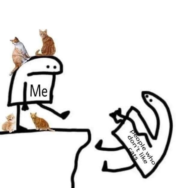 contents that ll heal your depression 🌻 (@catshealdeprsn) on Twitter photo 