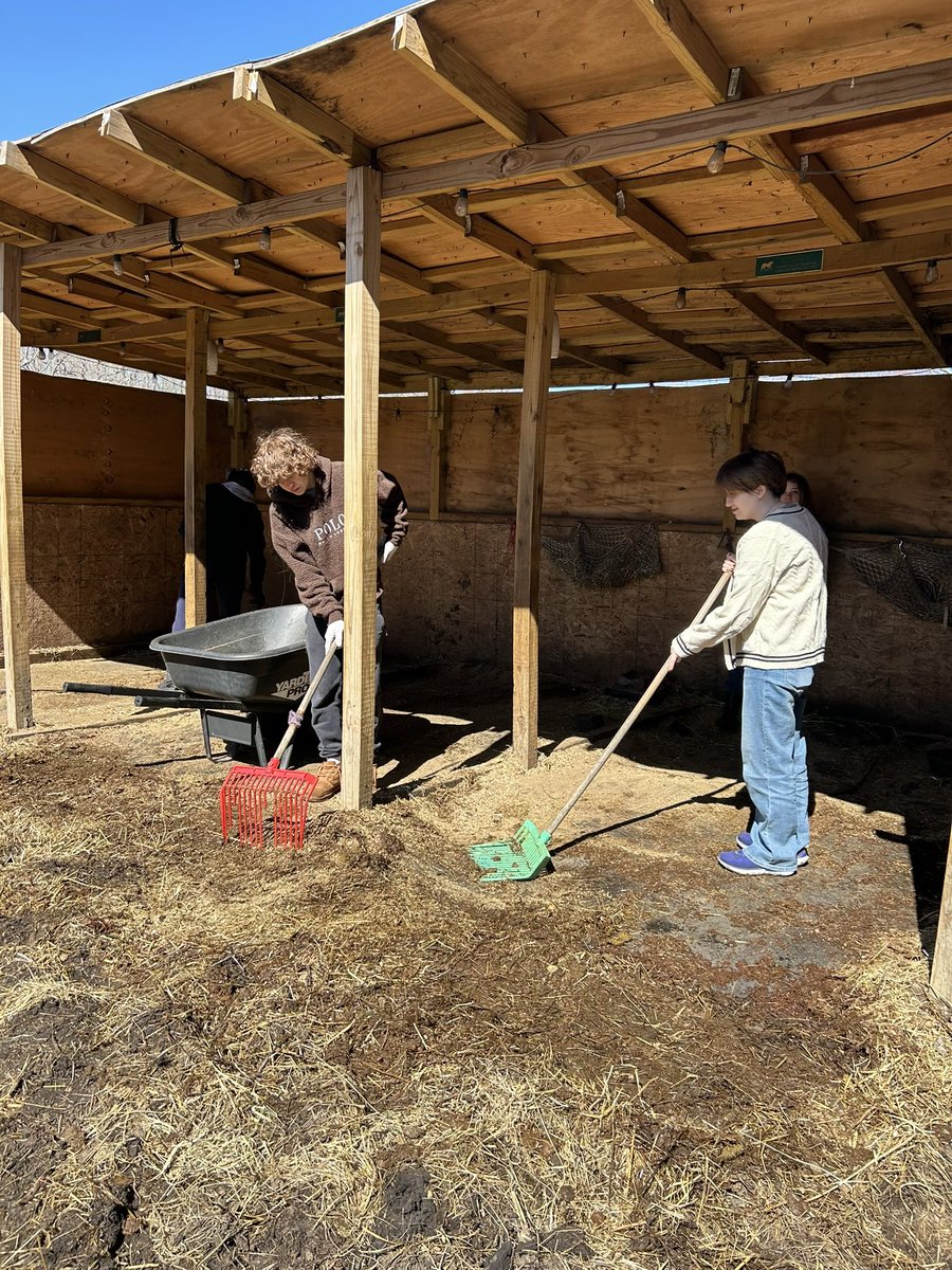 Our Sequoia and TAP students had a wonderful day working on the farm!