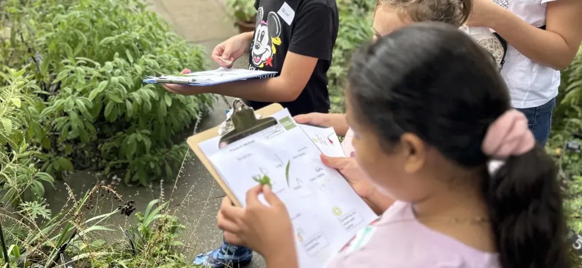We're in the final days of our match funding drive to support our core educational offers. We're 65% there.  Every little bit counts so please consider donating: …hlondonbotanicalinstitute.enthuse.com/cf/plant-futur… #PlantFutures #Botany #ClimateActionNow #Nature