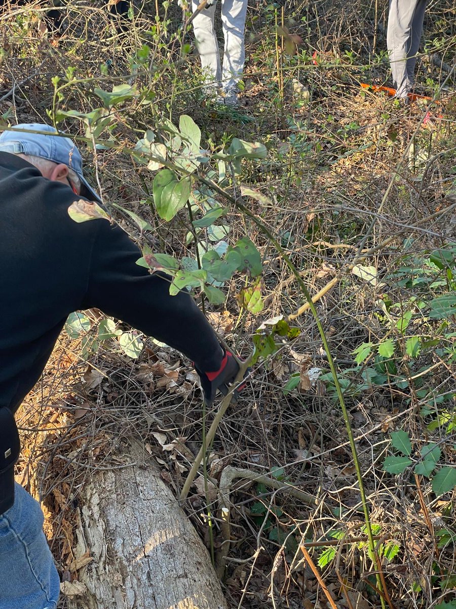 CommunityBucket tweet media