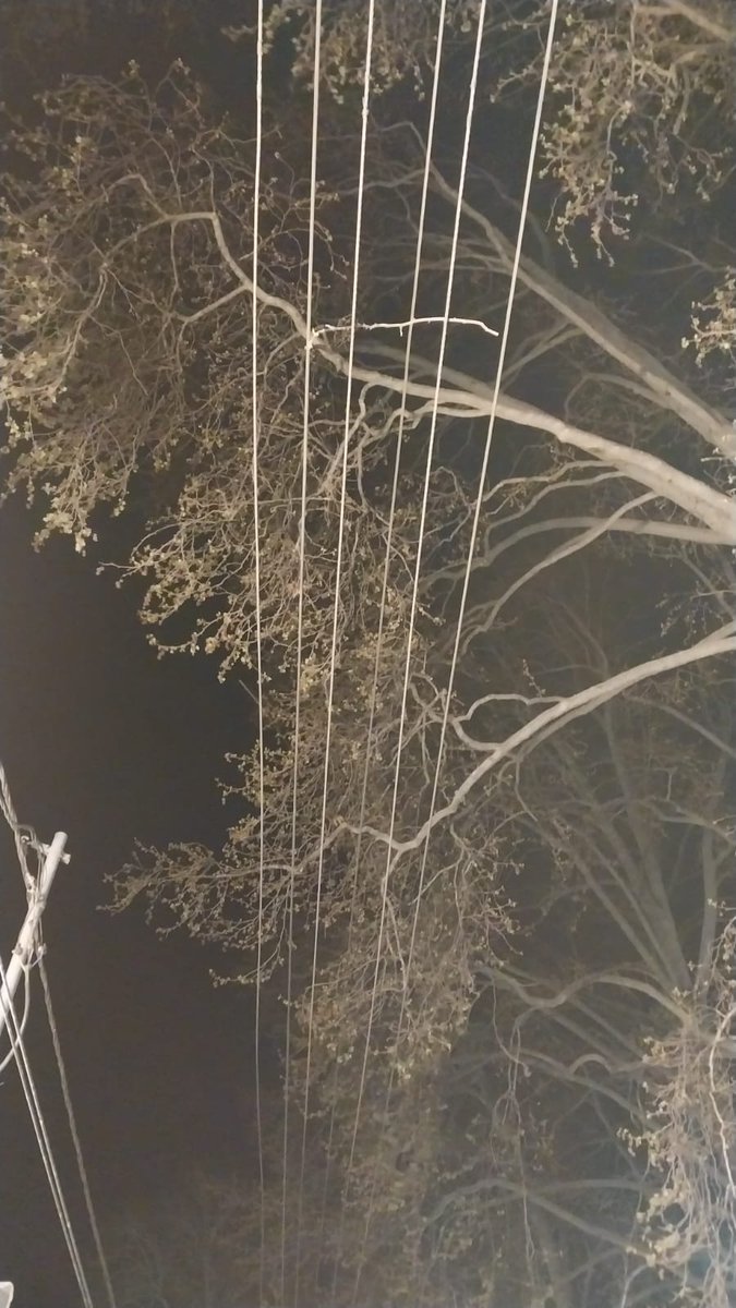 Electric Subdivision Sheikhbagh tweet media