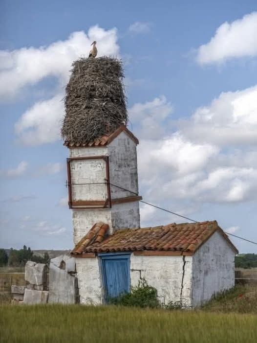 Leylek kaçak kat çıkmış