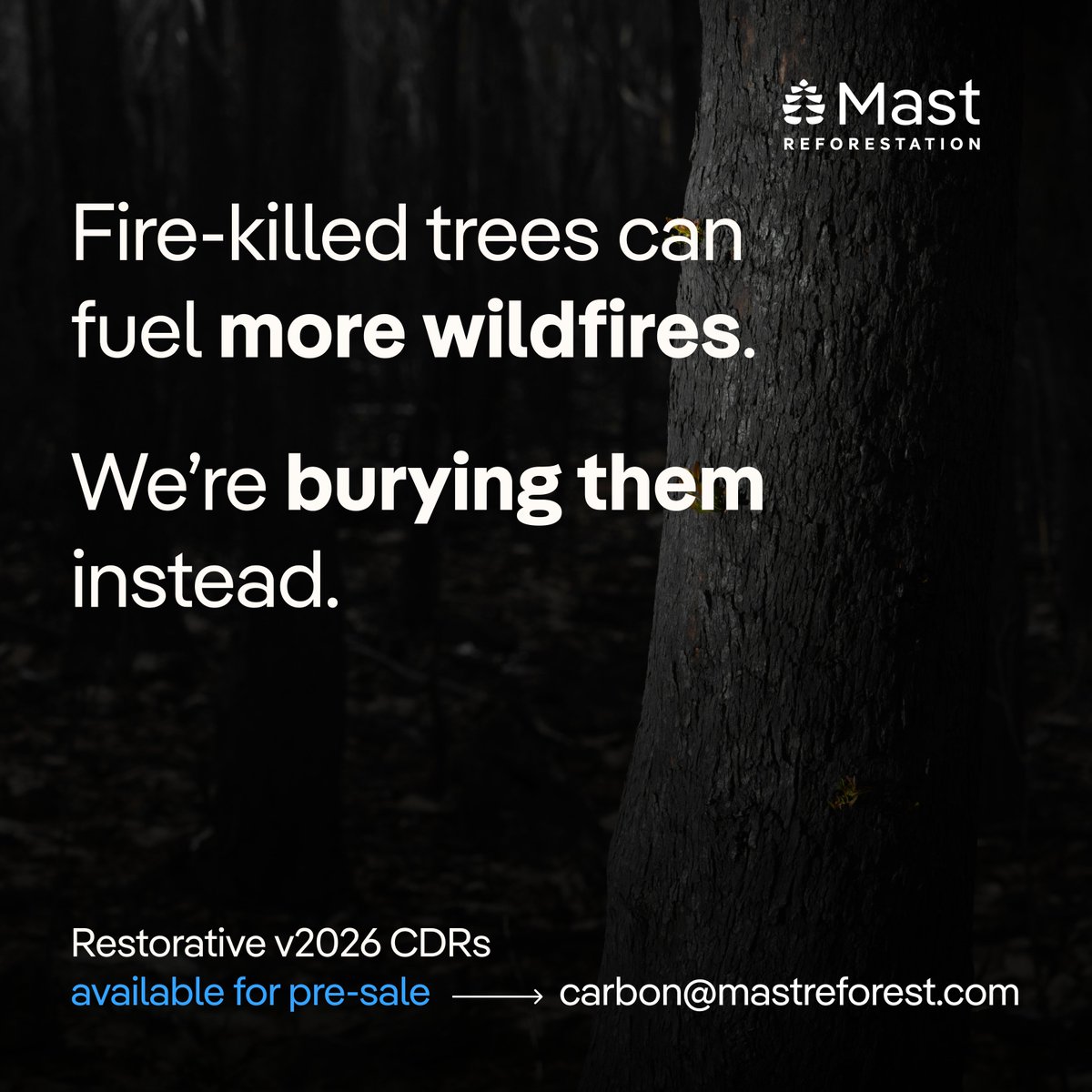 Mast Reforestation tweet media