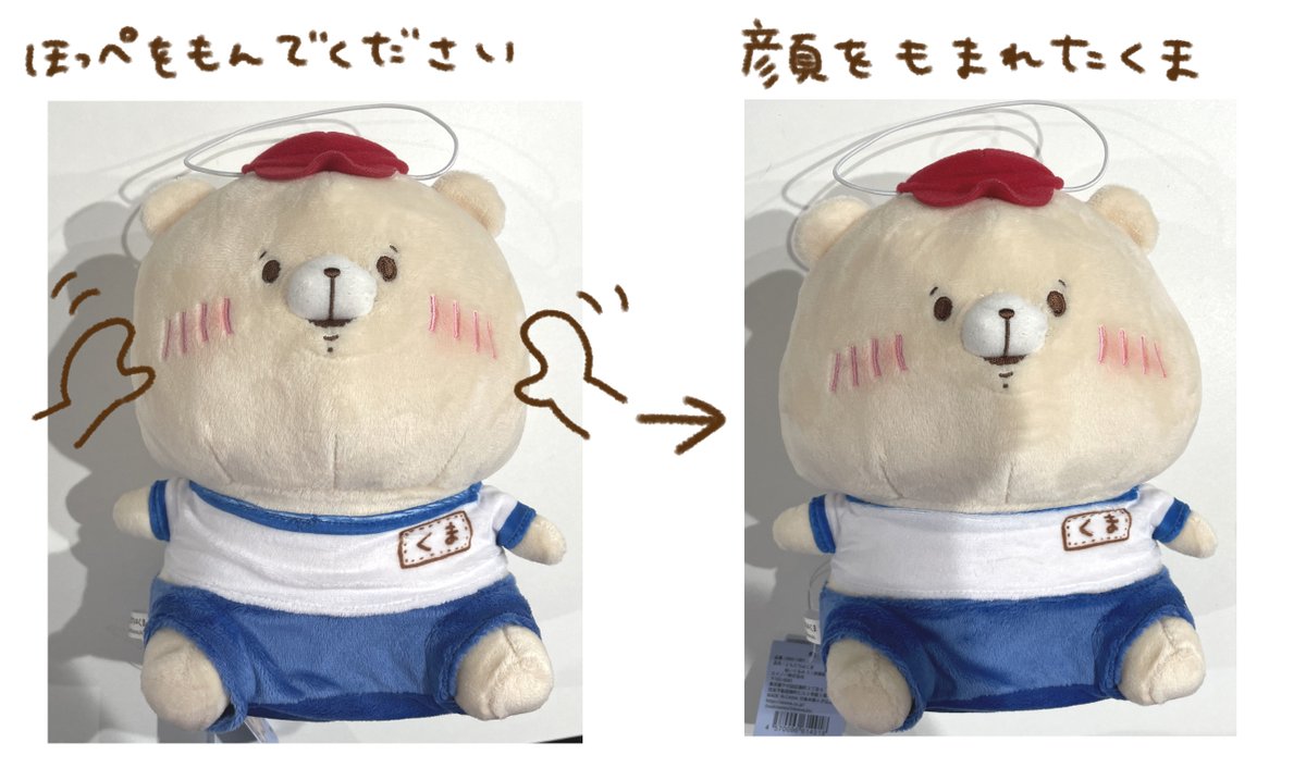 くま(⚠️プロフィールも読んで下さい) 専用 くま クマ 熊 ベアー 8 (PASH！ブックス) | くまなの
