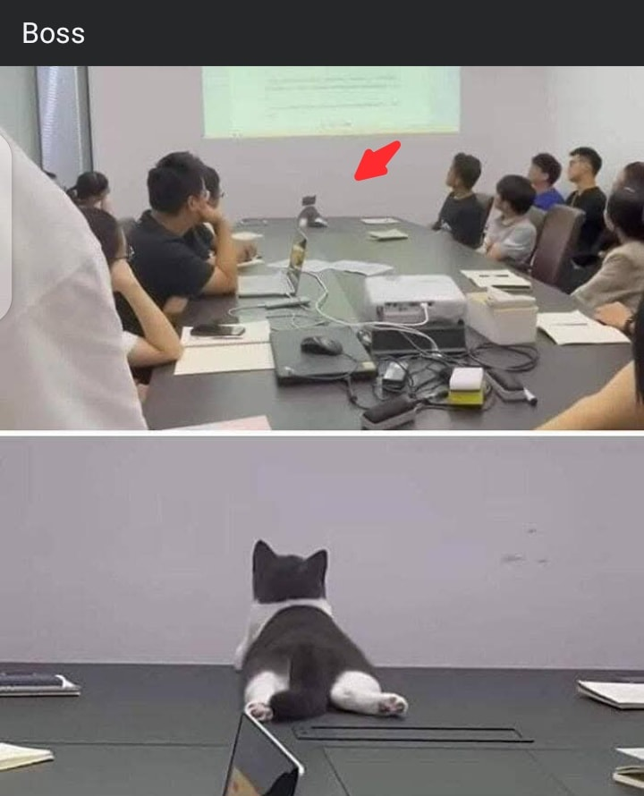 사벌슴레 tweet media