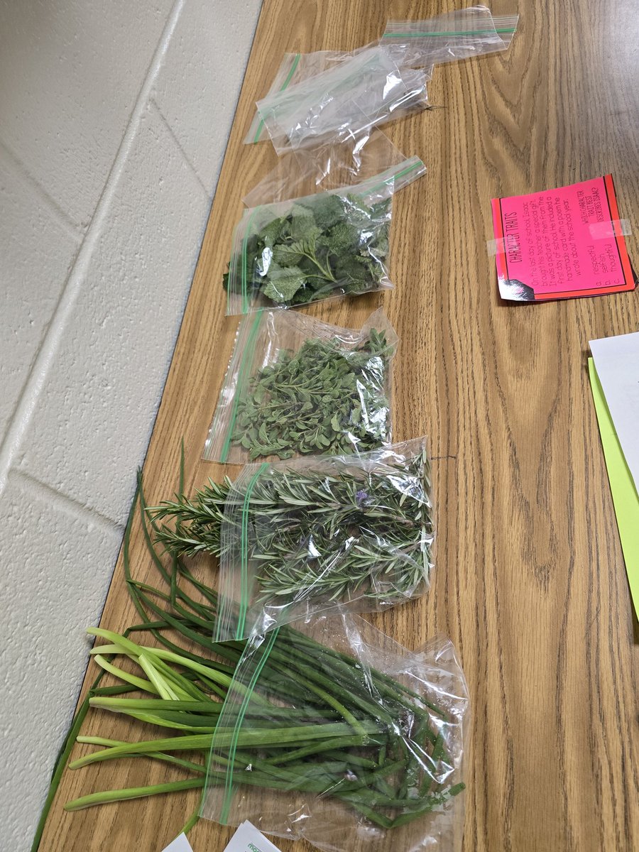 Usher-Collier ROAR (@ushercollieres) on Twitter photo Check out our latest harvest from our STEM Garden!!! #Greens #Lettuce #Herbs Check out our latest harvest from our STEM Garden!!! #Greens #Lettuce #Herbs