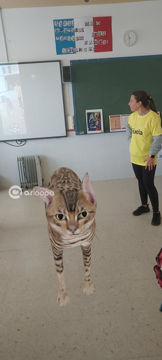 VuelaAlozaina's tweet photo. 🤖 #AibotSchoolMalaga Día de aprendizaje en #robotica en el #CeipLAParra de #Almachar con la participación de los @PuntosVuela de #Malaga ❗️Juntos impulsando el futuro de nuestros niñ@s❗️
#PuntosVuela #robotica #realidadvirtual #prerrobotica @AytoAlmachar https://t.co/sBylSLCQOj