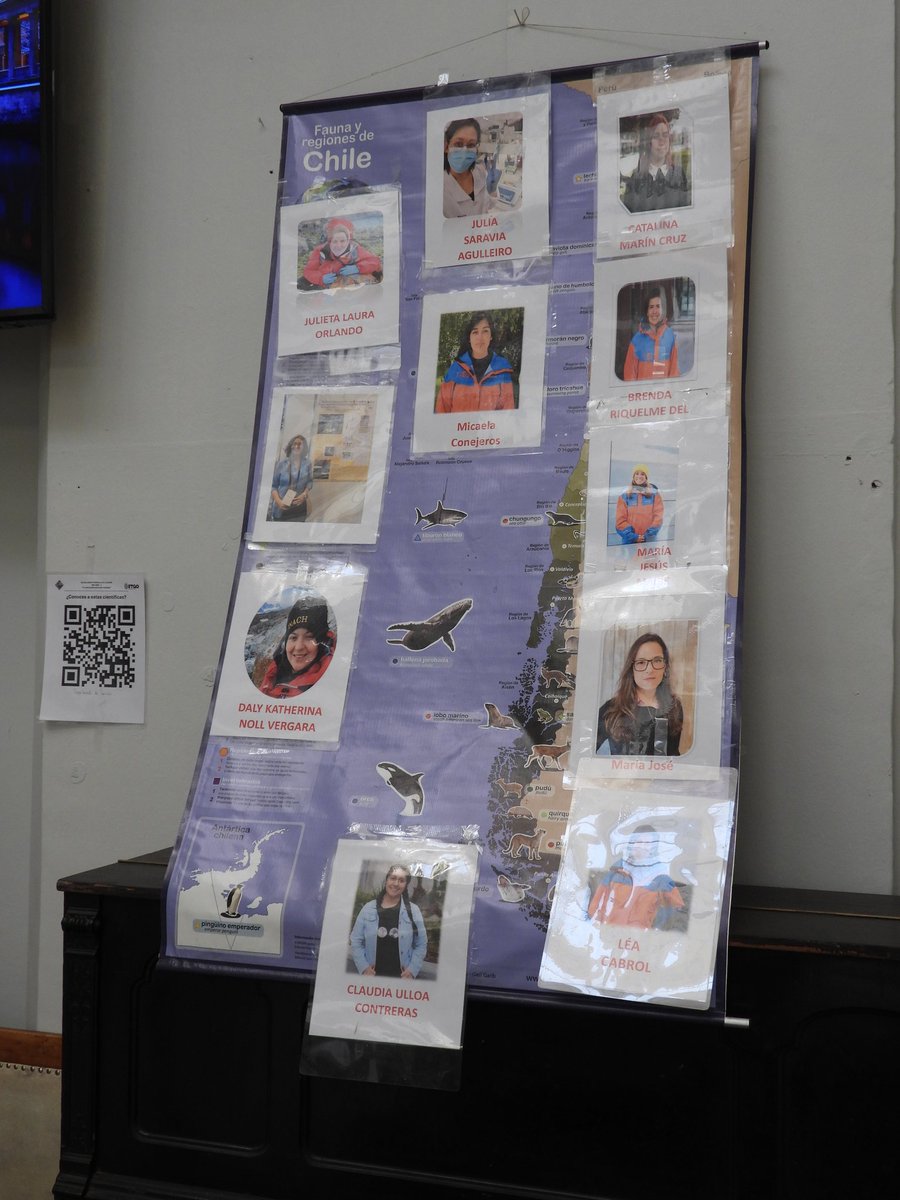 MilenioBASE's tweet photo. 📍Santiago 🟣🇦🇶 Un mes de marzo #8M @MilenioBASE y en la charla "Mujeres en Antártica" con escuela República del Ecuador, María Jesús Maibe @U_Antartica y Nayla Serey @CienciasUChile compartieron sus experiencias desde el #Derecho y la #Ciencia ¡Gracias por la invitación! 👏🥳 https://t.co/o1nQSXh9Al