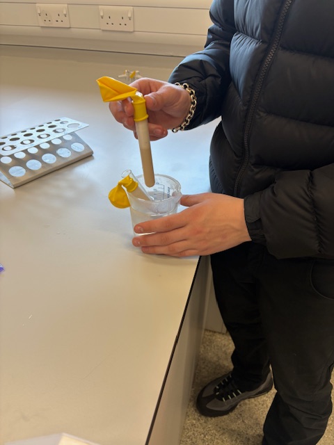 Year 10 students have been investigating leaves in science. Leaves work to manufacture glucose. Chloroplasts in leaves absorb the light needed for photosynthesis 🌿🌞