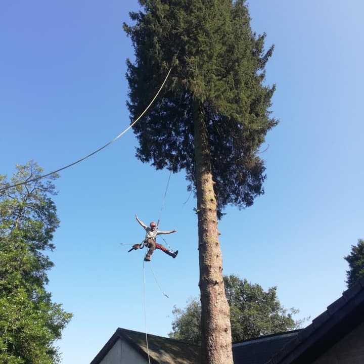 Trossachs Directory (@trossachsdirect) on Twitter photo TD Tree & Land Services LTD offer a complete tree surgery and landscaping service to the domestic and commercial sectors throughout the Trossachs and Central Scotland.
E: dbalshaw@tdtrees.co.uk
W: tdtrees.co.uk TD Tree & Land Services LTD offer a complete tree surgery and landscaping service to the domestic and commercial sectors throughout the Trossachs and Central Scotland.
E: dbalshaw@tdtrees.co.uk
W: tdtrees.co.uk