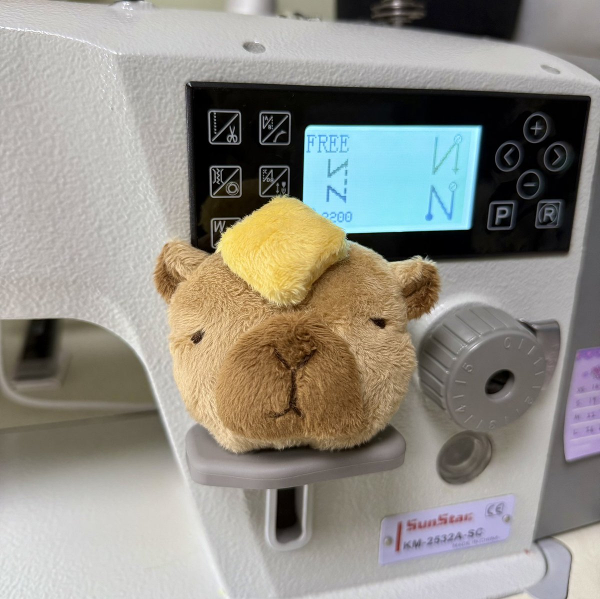 억울해보이는 카피바라 완성🥞🤎