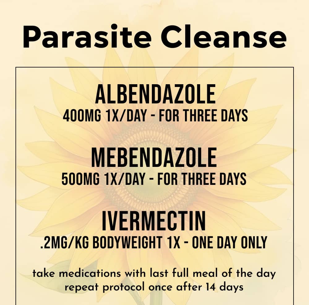 Dr Daniel Macintosh tweet media