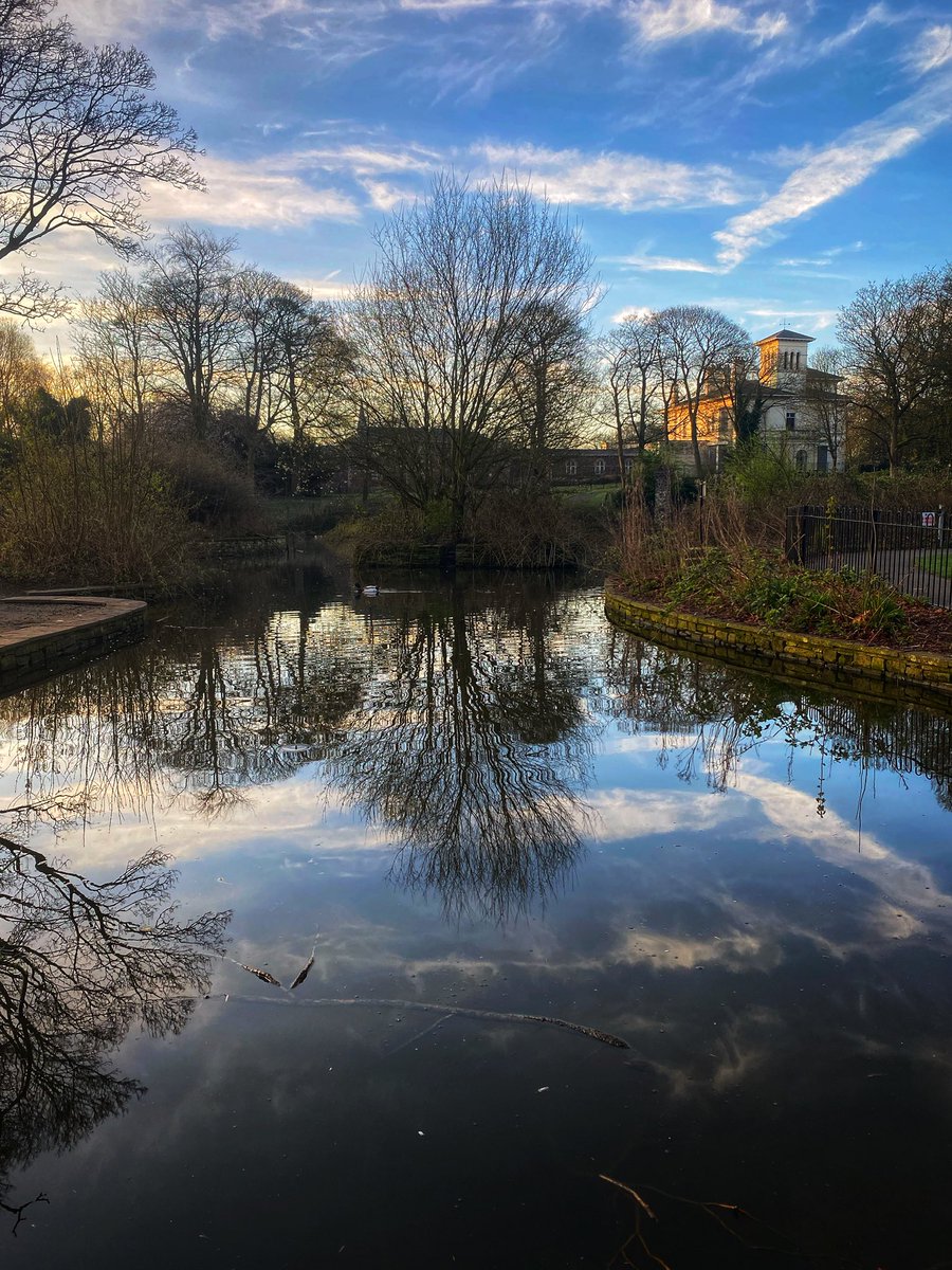 joymarie_h's tweet image. #springwalks #earlymorning