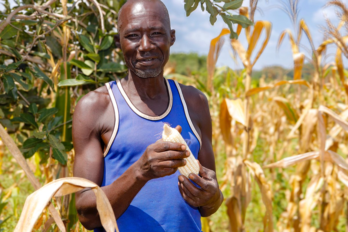 Organisation for Community Action tweet media