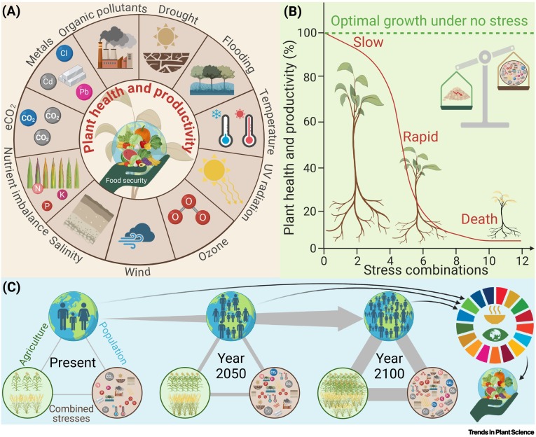 Panomics to manage combined abiotic stresses in plants dlvr.it/TJnL93 #plantscience