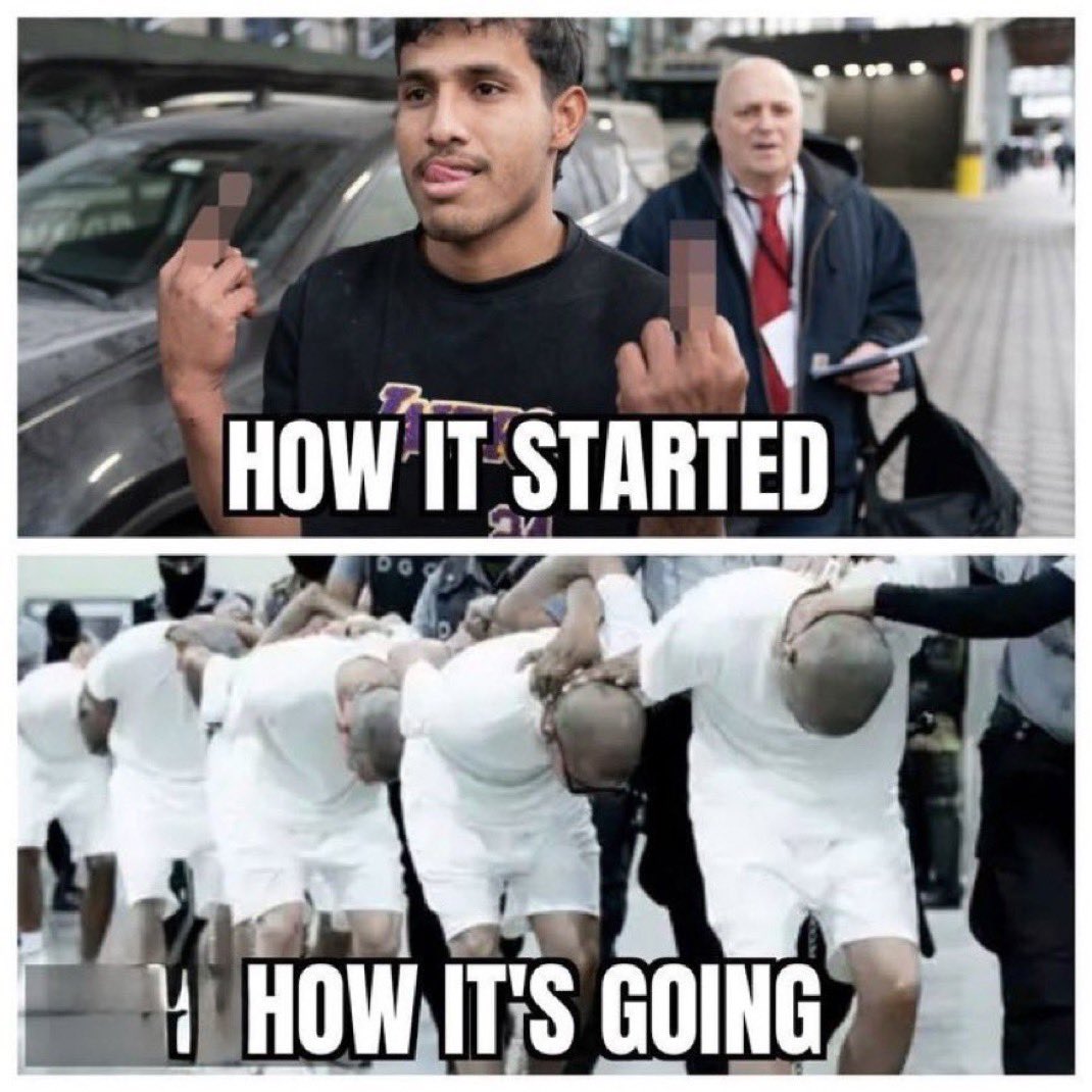 RealAlexJones's tweet image. FAFO