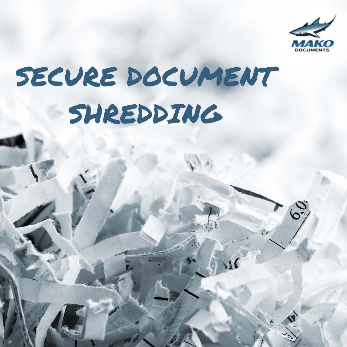 MakoDocuments's tweet photo. Protect your business! Shred old documents containing confidential information.

Call Mako Documents for a quote! 📲 (919) 636 5216 x 101

#NorthCarolina #LocalBusiness #Raleigh https://t.co/NVYj3GNHDy