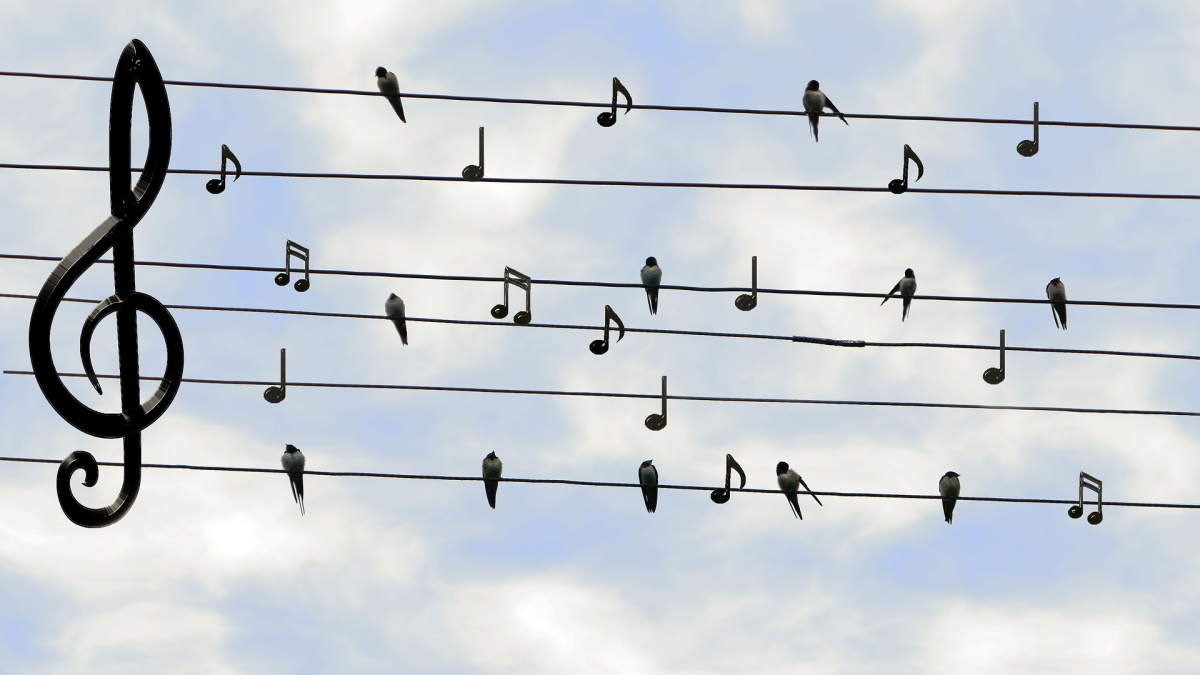 TheBookDuke (@bookduke) on Twitter photo Your tweets and retweets are music to my ears! 👇
<a href="/SafetyMentalst/">Jerry Rome Bass</a> <a href="/A_DiAngelo/">Anthony Di Angelo - Author</a> <a href="/Sarasteeg/">Sarah Anne Burns</a> <a href="/andrewmorrisuk/">Andrew Morris</a> <a href="/MarkTwa01197091/">Mark Twain</a> <a href="/Pat_McDermott/">Pat McDermott</a> <a href="/picturegallery/">The Picture Gallery</a> <a href="/MikeReynoldsAut/">E. Michael Mettille</a> <a href="/LetchfordLois/">Lois Letchford</a> <a href="/kokokarincyo/">kokokarincyo</a> <a href="/biggspirit/">John T. Biggs</a> Your tweets and retweets are music to my ears! 👇
<a href="/SafetyMentalst/">Jerry Rome Bass</a> <a href="/A_DiAngelo/">Anthony Di Angelo - Author</a> <a href="/Sarasteeg/">Sarah Anne Burns</a> <a href="/andrewmorrisuk/">Andrew Morris</a> <a href="/MarkTwa01197091/">Mark Twain</a> <a href="/Pat_McDermott/">Pat McDermott</a> <a href="/picturegallery/">The Picture Gallery</a> <a href="/MikeReynoldsAut/">E. Michael Mettille</a> <a href="/LetchfordLois/">Lois Letchford</a> <a href="/kokokarincyo/">kokokarincyo</a> <a href="/biggspirit/">John T. Biggs</a>