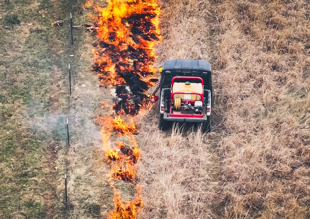 SundgrenRealty's tweet photo. A well-planned controlled burn keeps pastures healthy, invasive species in check, and grazing land at its best! 🔥🌾 Smart land management leads to strong, sustainable returns. #ControlledBurn #LandManagement #KansasLand #SundgrenRealty https://t.co/M1aUj2RqXK