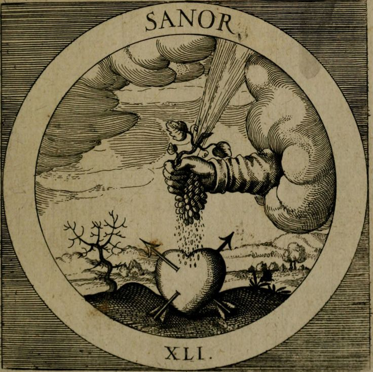latinedisce's tweet photo. Sanor – “I am healing.” https://t.co/8qXKfdULOz