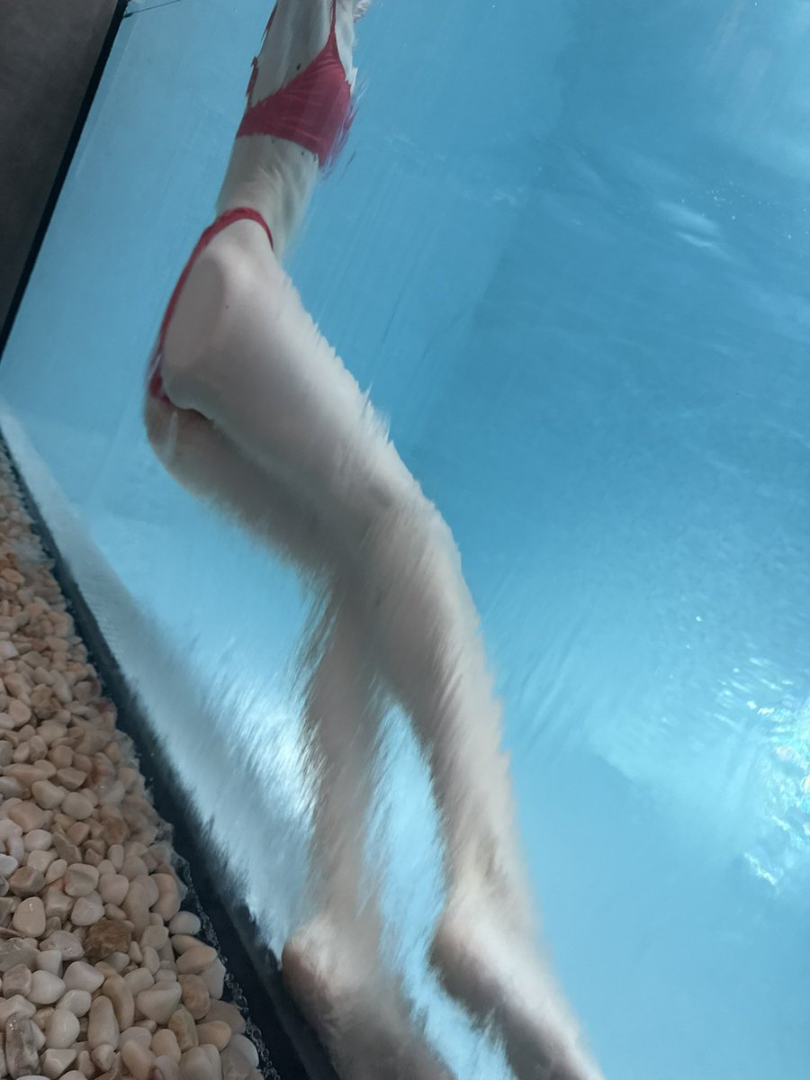 Vera 🧽 tweet media