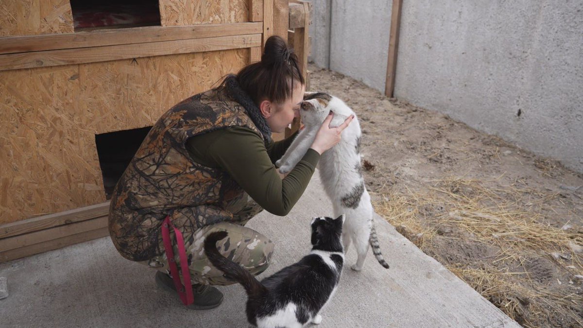The Shelter of Kindness, founded at the Hospitallers' base, continues to help animals in need.
At the shelter, furry friends receive medical care and assistance in finding a new home. Every animal deserves a loving family. 
Read more and help hospitallers.org.uk/post/the-shelt…