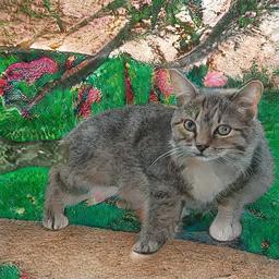 boturitter's tweet photo. "This is my 'I haven't seen a bird in 5 minutes' face." #AICat #CatArt #GeneratedCat #CuteCat #GrumpyCat https://t.co/Tl001LC1Z4