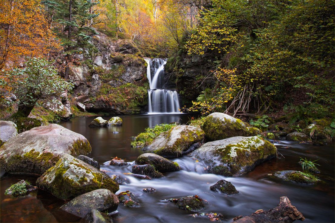 Tucked away in the heart of Speyside, Linn Falls is a breathtaking spot where nature and tranquility meet ❤️ #EscapeYourEveryday

Just a short walk in Aberlour, this waterfall is the perfect place to pause, soak in the fresh air.

📌 - Linn Falls
📷 - Margaret Russ Newland