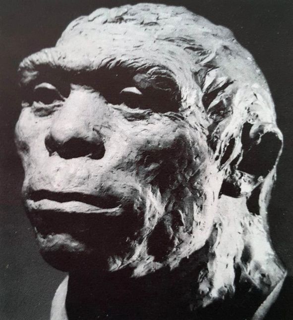 FossilHistory's tweet image. Fieldwork began at Zhoukoudian in China #OnThisDay in 1927. The Peking Man fossils, now Homo erectus, would soon be discovered. 📸 University of Toronto Archives