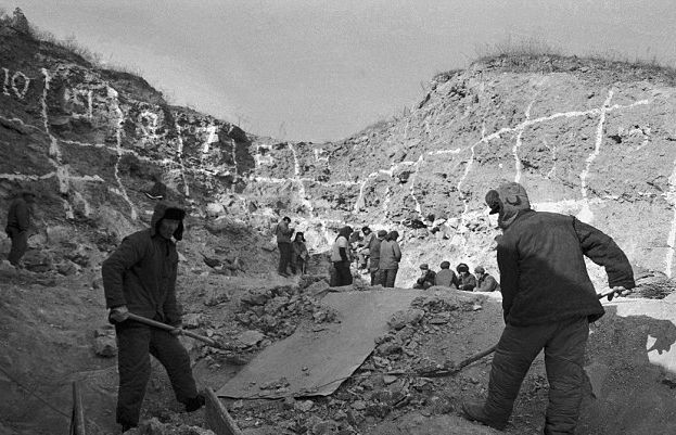 FossilHistory's tweet image. Fieldwork began at Zhoukoudian in China #OnThisDay in 1927. The Peking Man fossils, now Homo erectus, would soon be discovered. 📸 University of Toronto Archives