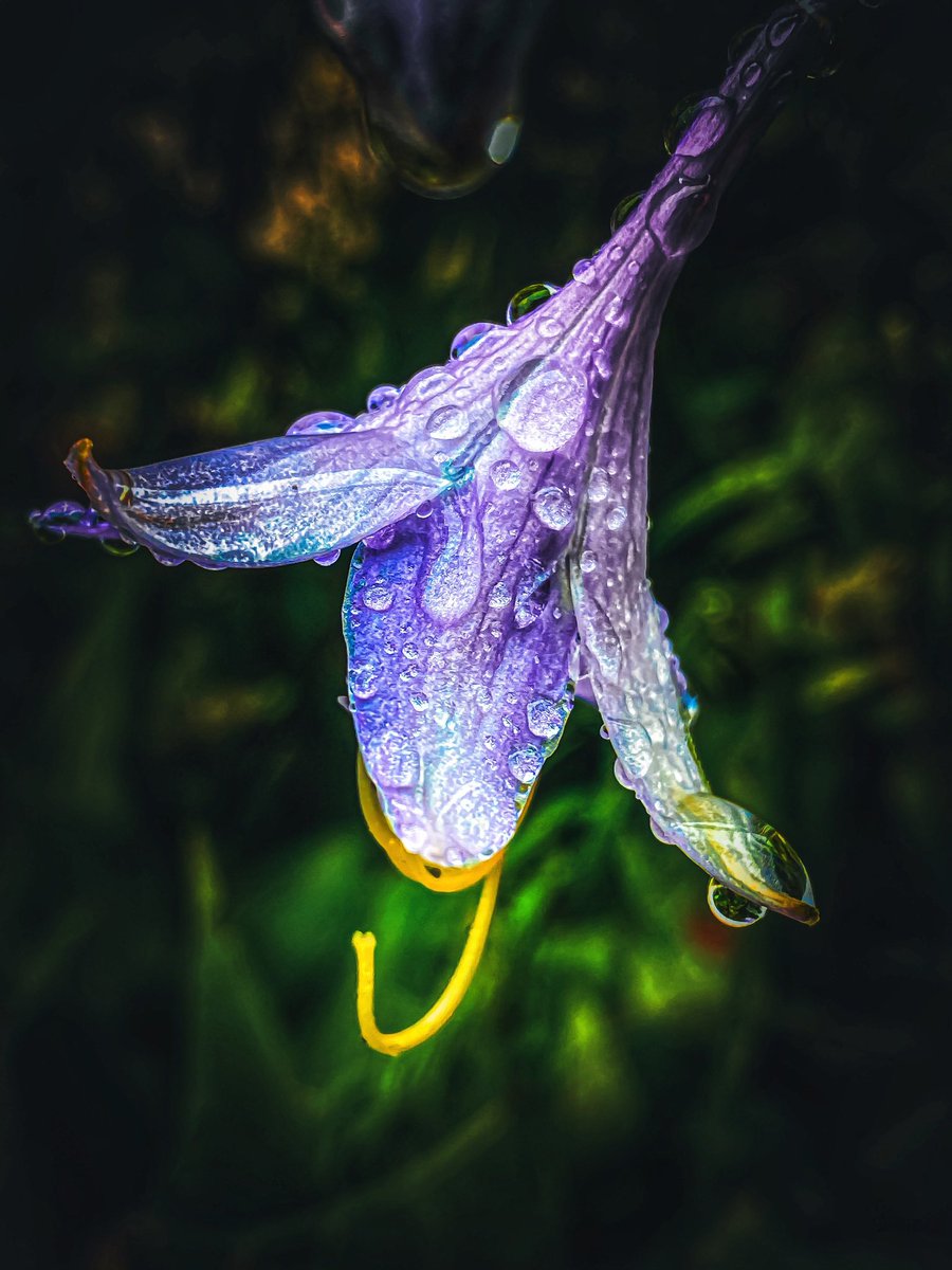 📸VineyardWarrior📸 tweet media