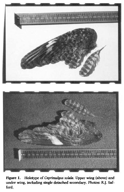 Dan Baldassarre tweet media