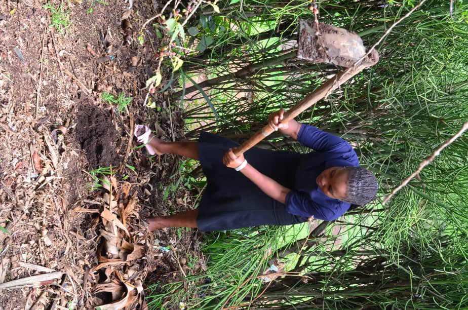 It was truly special for us to be invited by Rubingo Church of Uganda to plant trees at the Church. 
It felt like a chance to nurture both our faith and our planet. The church fosters a sense of moral and stewardship for Gods creation thus climate action.