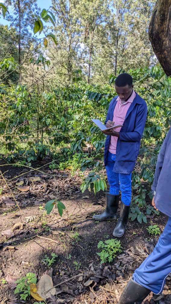 dcsh_sua's tweet photo. Field Practical Training 2025: where learning meets experience 🌱 Our students are getting hands on training at Burka Coffee estate - exploring the journey from the field to the cup, from planting to processing, they are discovering the secret behind a good coffee! 
 @SokoineU https://t.co/nY9p4it97m