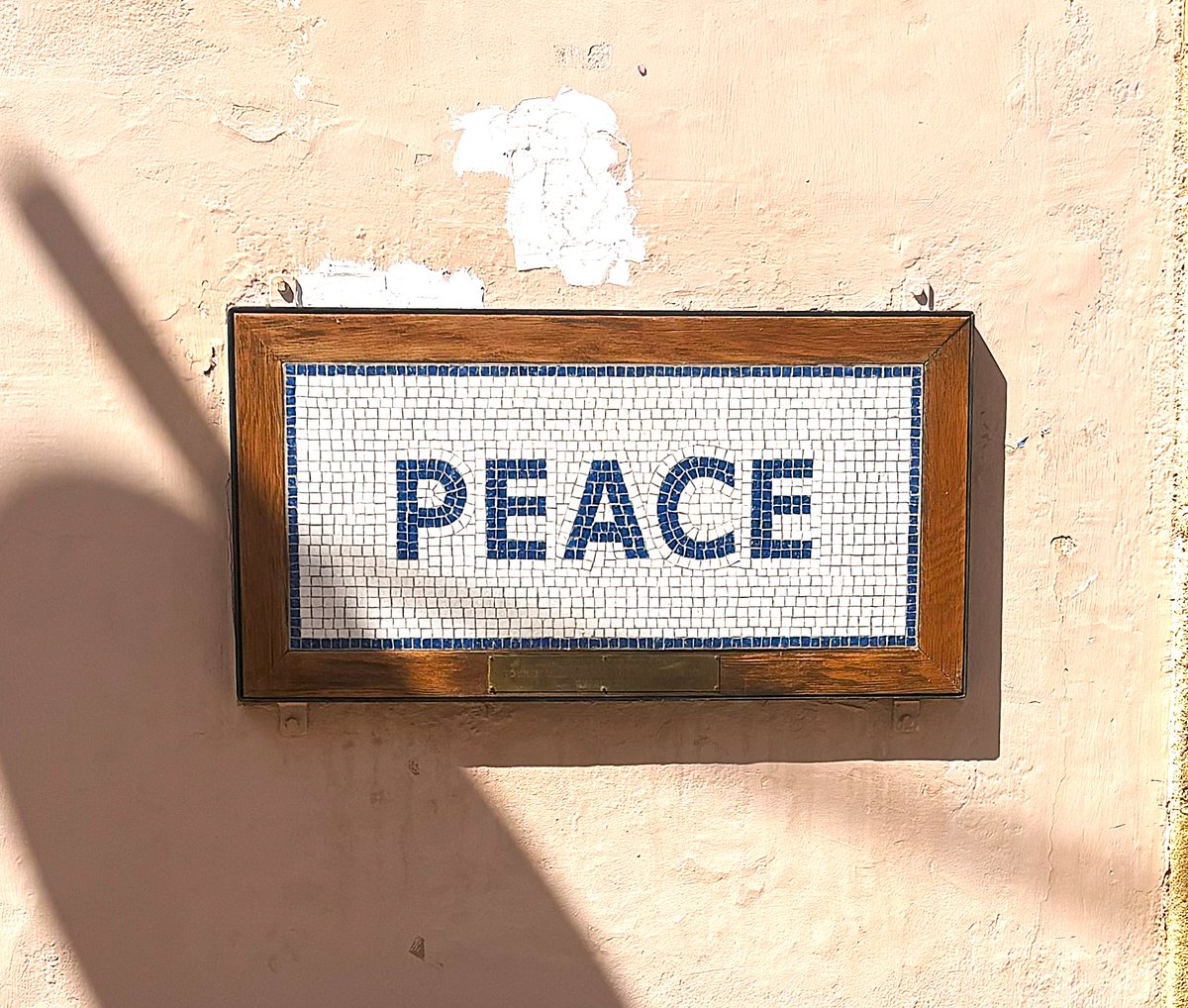 Springboard Opportunities tweet media