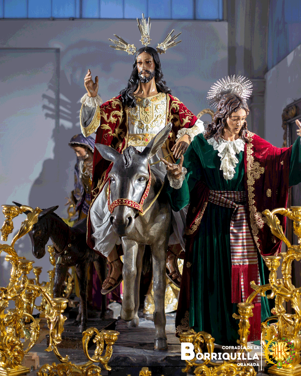 Cofradía Borriquilla de Granada tweet media