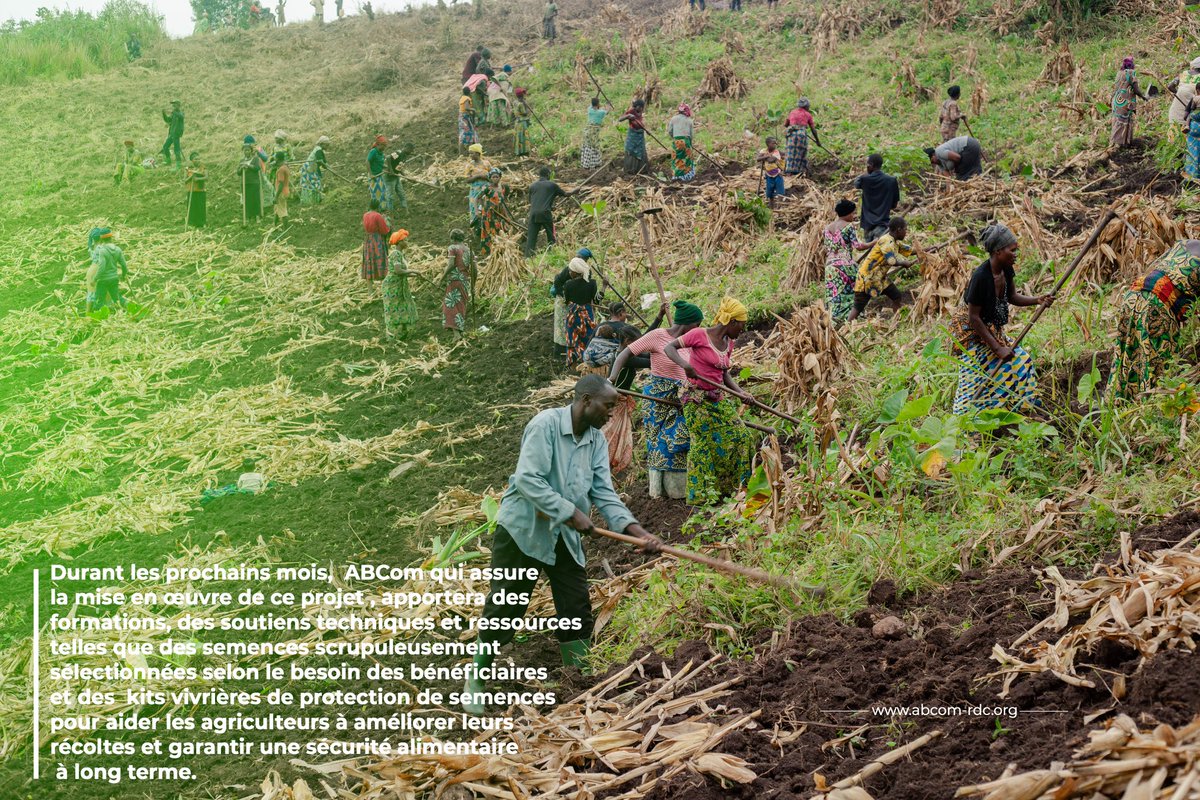 ABCom_ONGD's tweet photo. À Nyanzale, les champs prennent vie grâce à l'engagement des bénéficiaires.
Ce projet ne se contente pas de nourrir des terres, il nourrit des rêves, des espoirs et des communautés qui se relèvent ensemble.

#SustainableAgriculture #foodsecurity  #abcomongd #investinhumanity https://t.co/lr3hf6vqpX