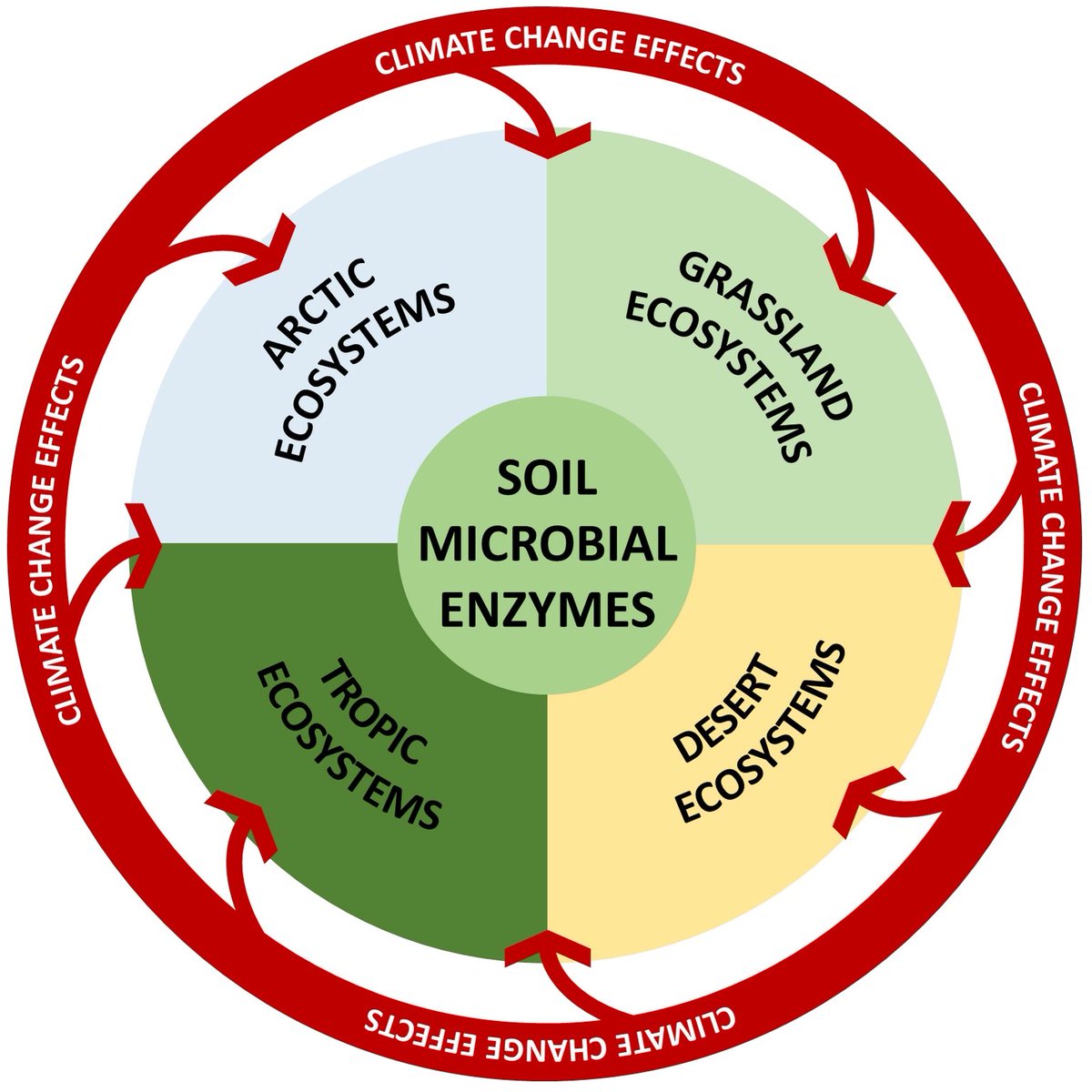 Biology_MDPI's tweet photo. #MostCitedPapers 📈
🌱 Role of Soil Microbiota Enzymes in Soil Health and Activity Changes Depending on Climate Change and the Type of Soil Ecosystem
Read more: https://t.co/W3va5cv5ub
#SoilHealth #Microbiota #ClimateChange #EcosystemScience #EnvironmentalResearch https://t.co/O57sXcQg2T
