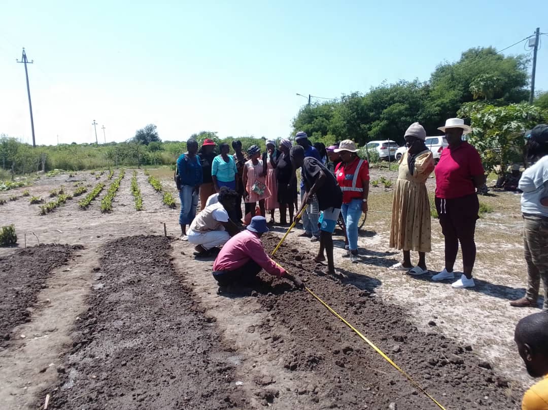 NamibiaRedCross's tweet image. In an effort to give back to the community, the National Society offers training on agricultural techniques and the establishment of homes and communal gardens.

This project is funded by the Japanese Red Cross. # WeCare #LivelihoodProject #DoWhatYouCan #CommunityGardens