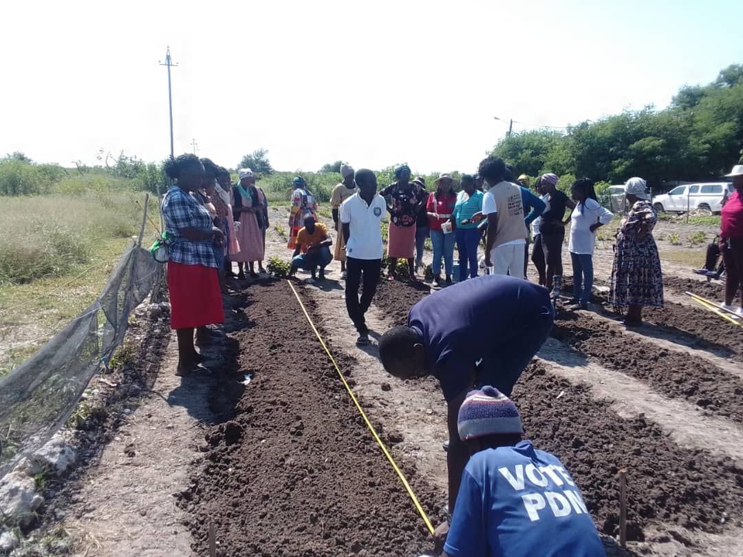 NamibiaRedCross's tweet image. In an effort to give back to the community, the National Society offers training on agricultural techniques and the establishment of homes and communal gardens.

This project is funded by the Japanese Red Cross. # WeCare #LivelihoodProject #DoWhatYouCan #CommunityGardens