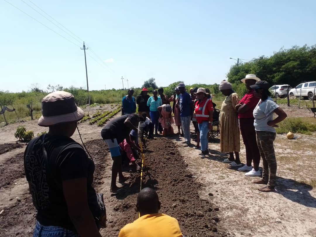 NamibiaRedCross's tweet image. In an effort to give back to the community, the National Society offers training on agricultural techniques and the establishment of homes and communal gardens.

This project is funded by the Japanese Red Cross. # WeCare #LivelihoodProject #DoWhatYouCan #CommunityGardens