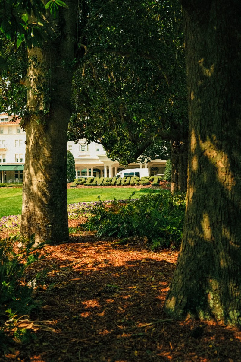 PinehurstResort's tweet photo. Carolina Spring. https://t.co/TUdpjjon7J