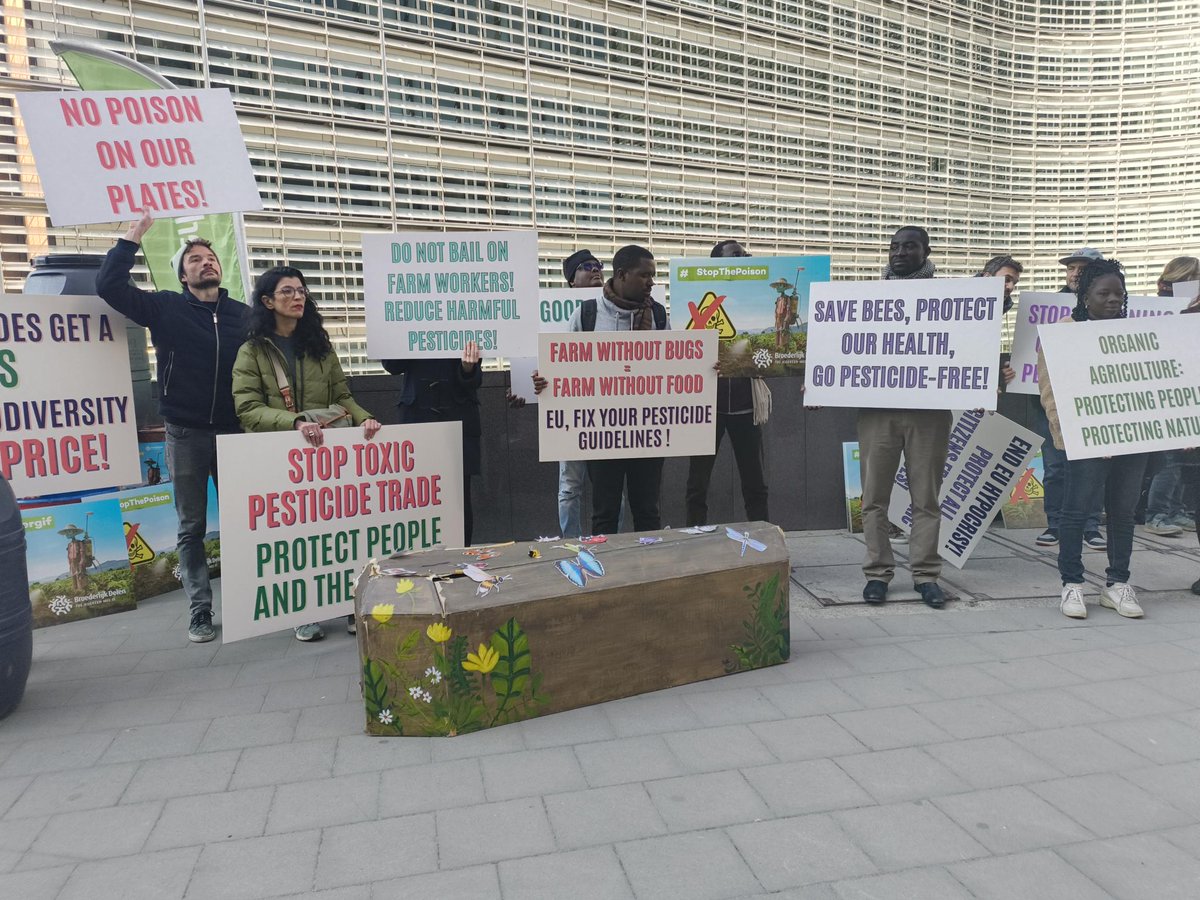 PAN Europe tweet media