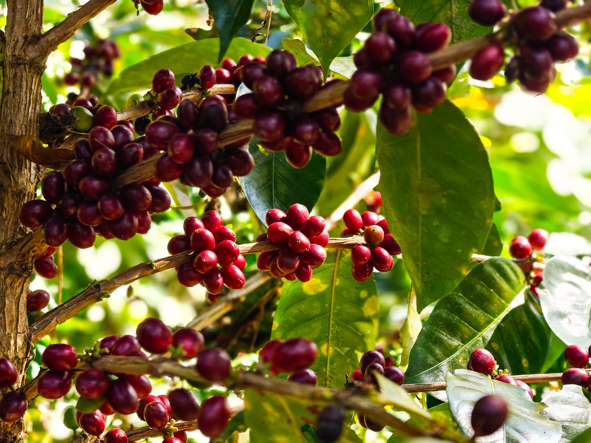 Daniela Luciana Carrascal Santavenere tweet media